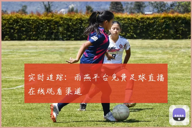 实时追踪：雨燕平台免费足球直播在线观看渠道