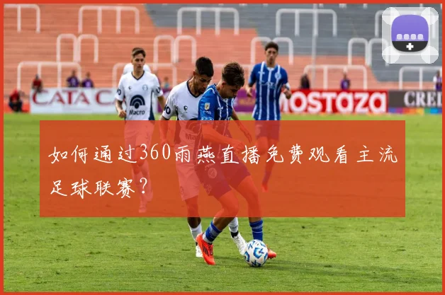 如何通过360雨燕直播免费观看主流足球联赛？